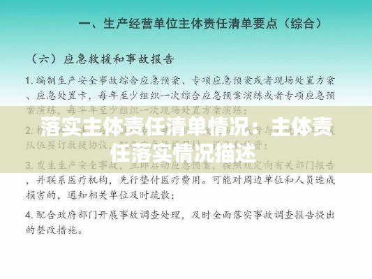 落实主体责任清单情况：主体责任落实情况描述 