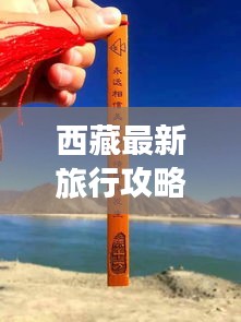 钗荆裙布 第2页