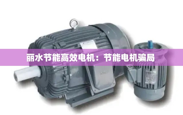 丽水节能高效电机：节能电机骗局 