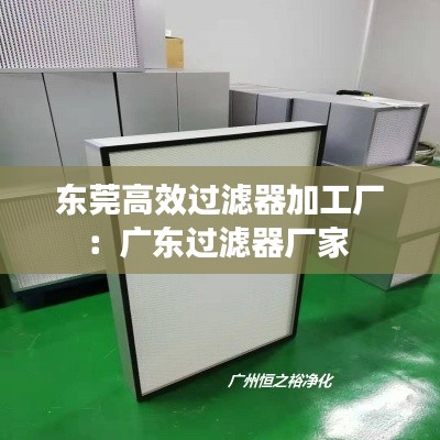 东莞高效过滤器加工厂：广东过滤器厂家 