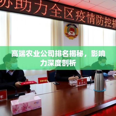 高端农业公司排名揭秘，影响力深度剖析