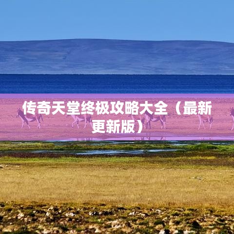 传奇天堂终极攻略大全（最新更新版）