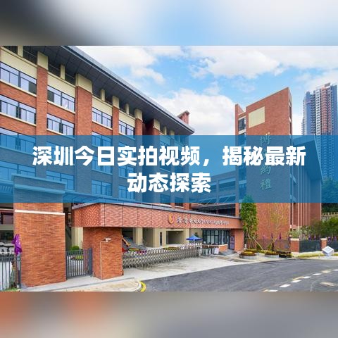 深圳今日实拍视频，揭秘最新动态探索