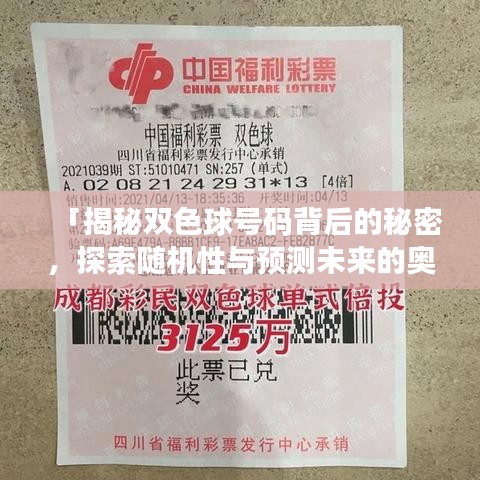 「揭秘双色球号码背后的秘密，探索随机性与预测未来的奥秘」
