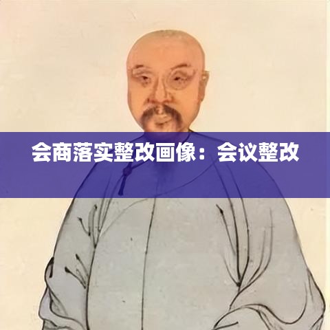 会商落实整改画像：会议整改 