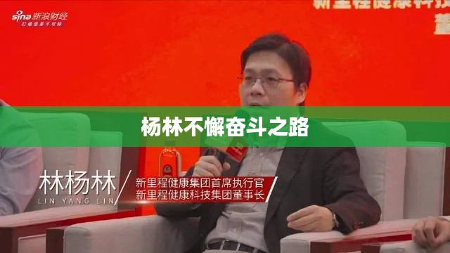 杨林不懈奋斗之路
