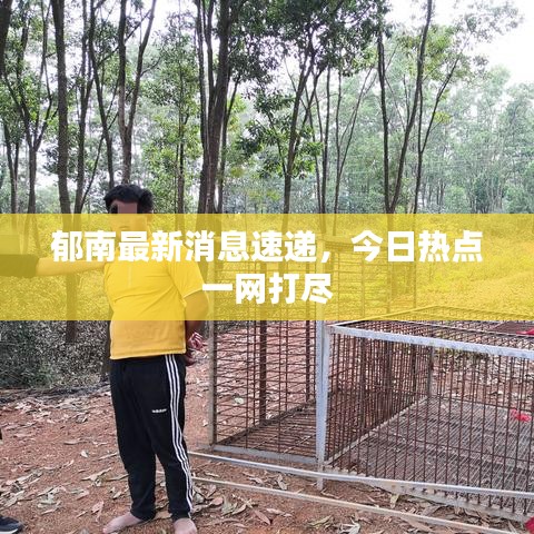 郁南最新消息速递，今日热点一网打尽