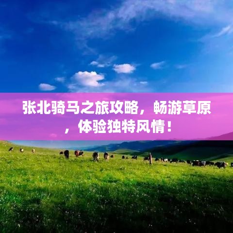 物以稀为贵 第2页