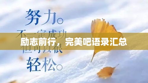 励志前行，完美吧语录汇总