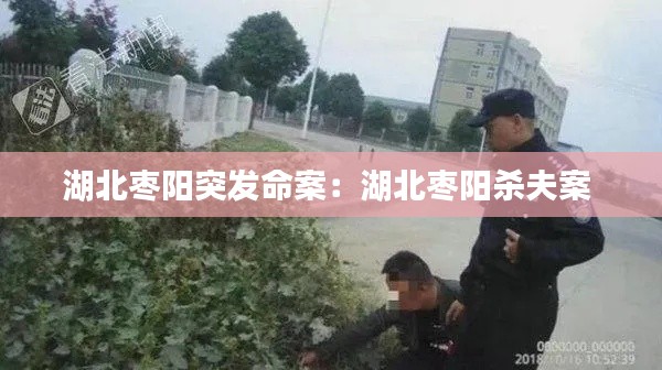 湖北枣阳突发命案：湖北枣阳杀夫案 