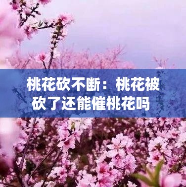 鸟惊鱼骇 第2页