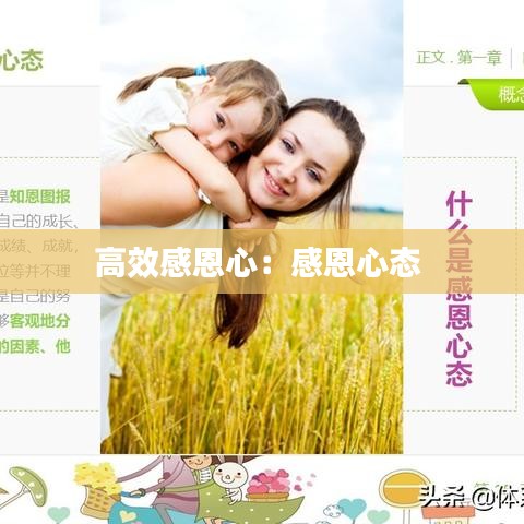 高效感恩心：感恩心态 