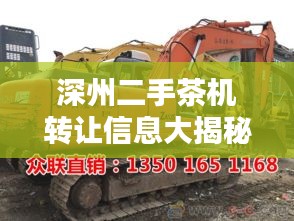 深州二手茶机转让信息大揭秘，最新更新动态！