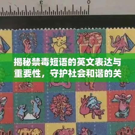 揭秘禁毒短语的英文表达与重要性，守护社会和谐的关键一环