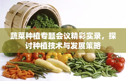 联系我们 第172页