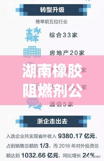湖南橡胶阻燃剂公司排名揭晓，行业领先的几家企业榜单出炉！