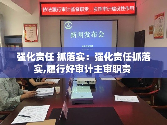 强化责任 抓落实：强化责任抓落实,履行好审计主审职责 