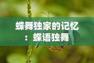 蝶舞独家的记忆：蝶语独舞 