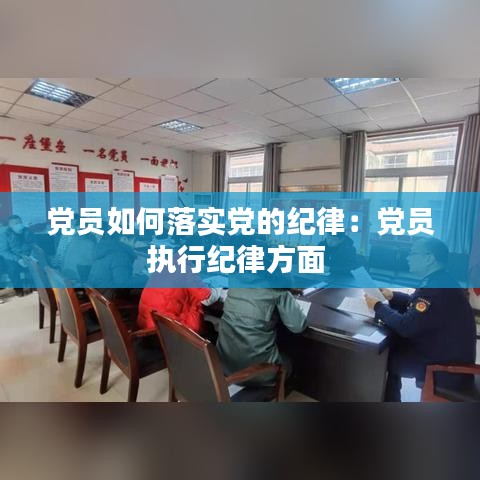 党员如何落实党的纪律：党员执行纪律方面 