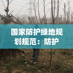 国家防护绿地规划规范：防护绿地在规划上可以变更吗 