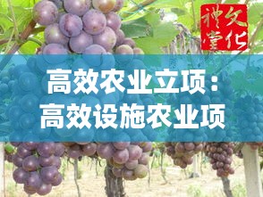 高效农业立项：高效设施农业项目 