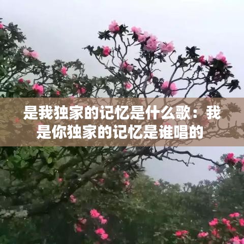 风度翩翩 第2页