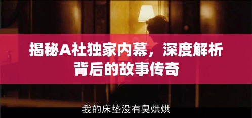 揭秘A社独家内幕，深度解析背后的故事传奇