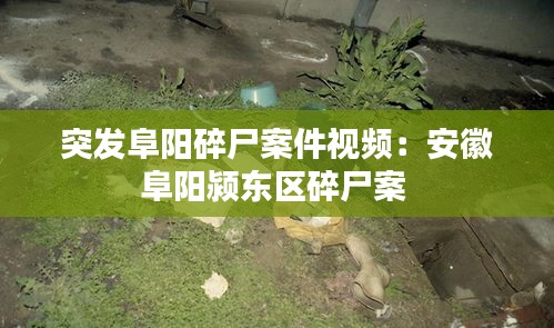 半截鸟木 第2页