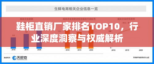 鞋柜直销厂家排名TOP10，行业深度洞察与权威解析