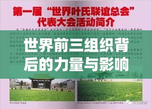 世界前三组织背后的力量与影响力揭秘