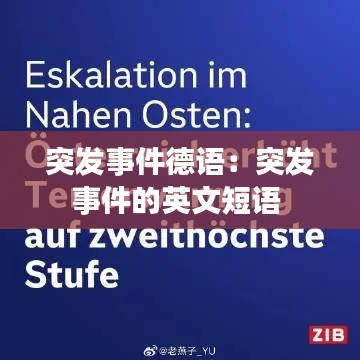 突发事件德语：突发事件的英文短语 