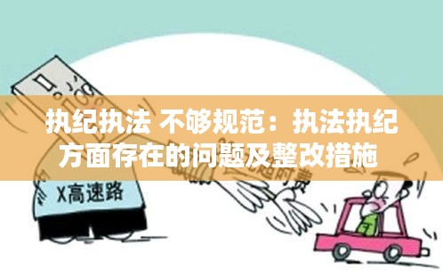 执纪执法 不够规范：执法执纪方面存在的问题及整改措施 