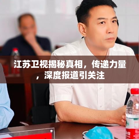 江苏卫视揭秘真相，传递力量，深度报道引关注