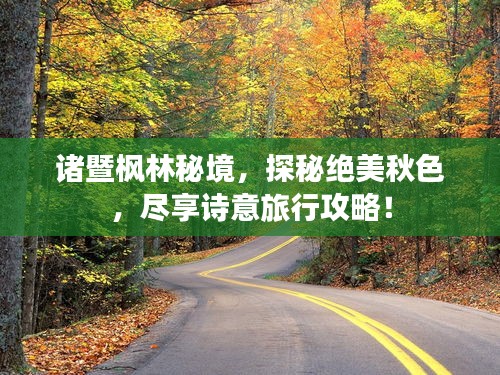 诸暨枫林秘境，探秘绝美秋色，尽享诗意旅行攻略！