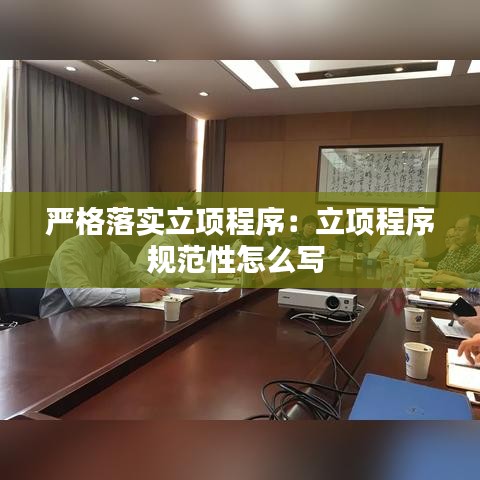 严格落实立项程序：立项程序规范性怎么写 