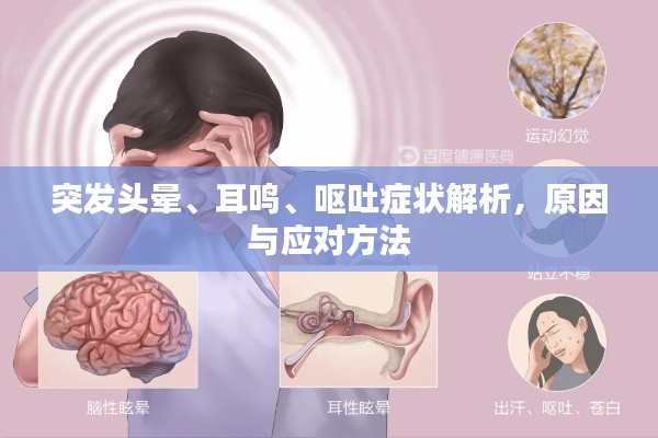 突发头晕、耳鸣、呕吐症状解析，原因与应对方法