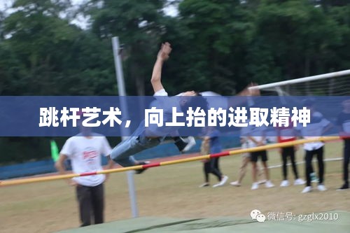 跳杆艺术，向上抬的进取精神
