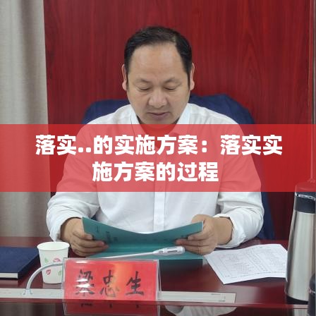 落实..的实施方案：落实实施方案的过程 