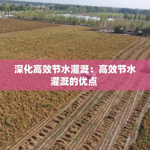 深化高效节水灌溉：高效节水灌溉的优点 