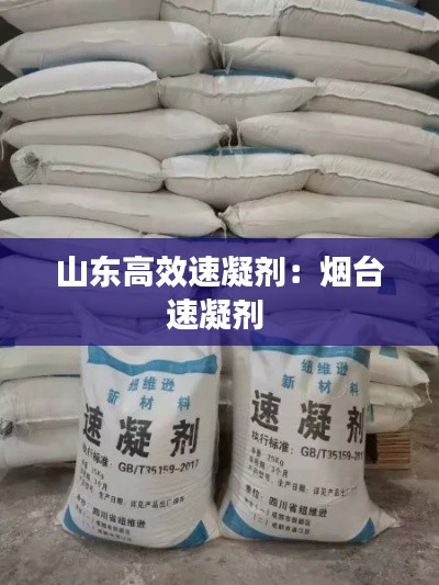 山东高效速凝剂：烟台速凝剂 