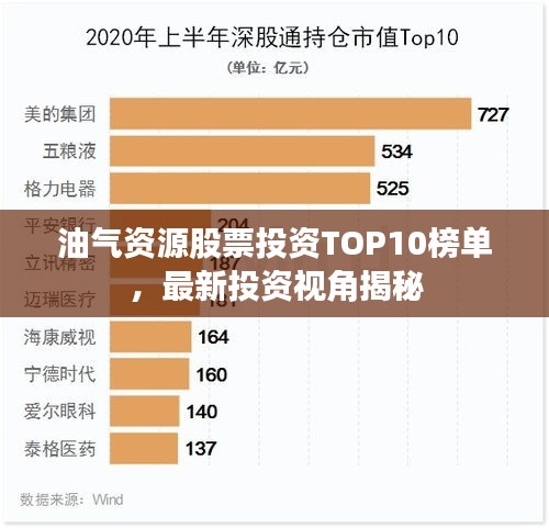 油气资源股票投资TOP10榜单，最新投资视角揭秘