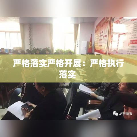 严格落实严格开展：严格执行落实 