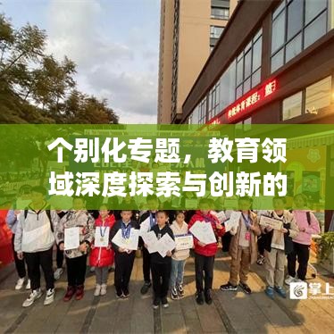 个别化专题，教育领域深度探索与创新的实践之路