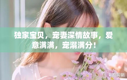 独家宝贝，宠妻深情故事，爱意满满，宠溺满分！