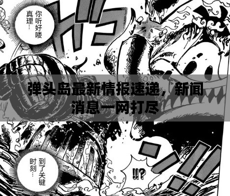 弹头岛最新情报速递，新闻消息一网打尽