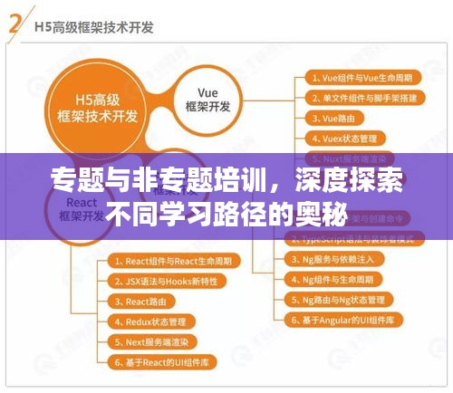 专题与非专题培训，深度探索不同学习路径的奥秘