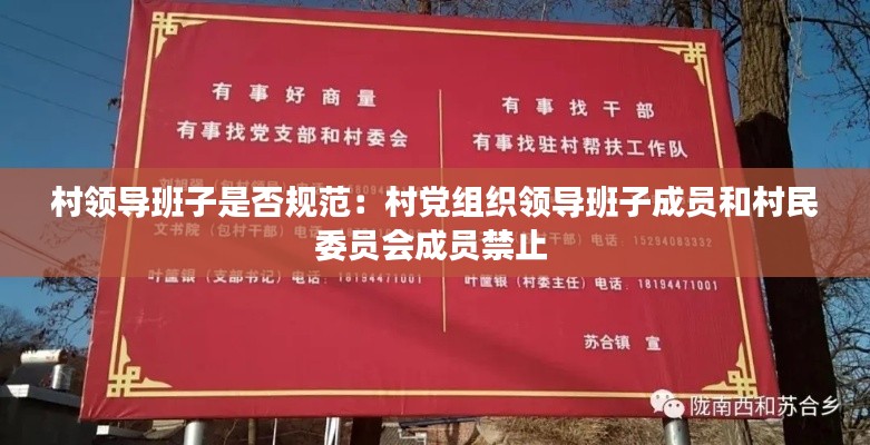 村领导班子是否规范：村党组织领导班子成员和村民委员会成员禁止 