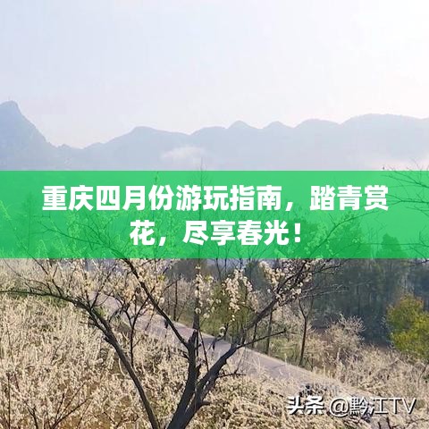 重庆四月份游玩指南，踏青赏花，尽享春光！