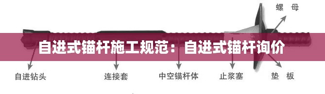 如鸟兽散 第3页