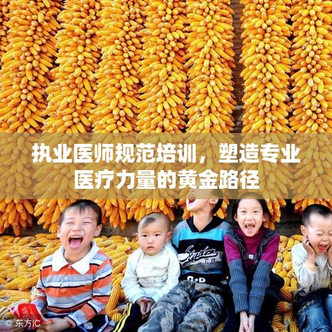 执业医师规范培训，塑造专业医疗力量的黄金路径